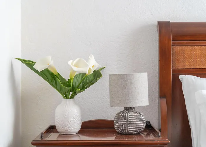 Bella 杜布罗夫尼克